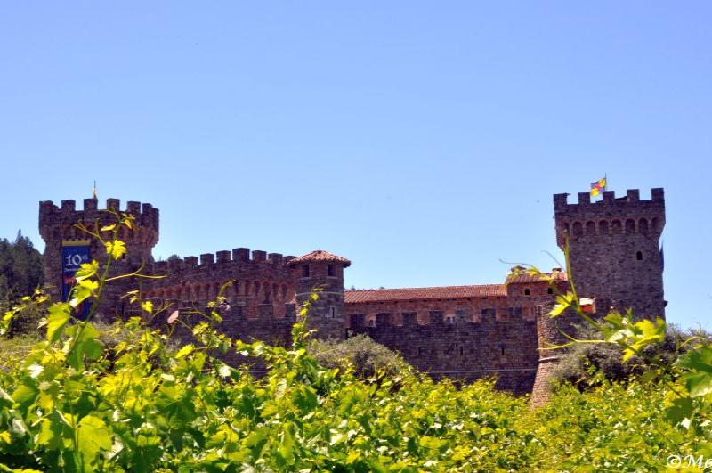 Castello di Amorosa